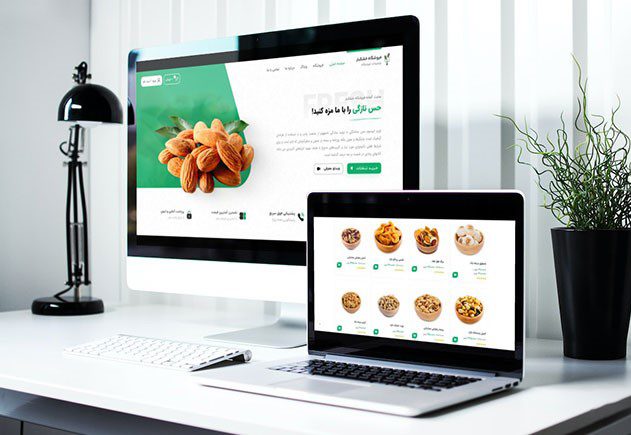 طراحی سایت خشکبار در مشهد