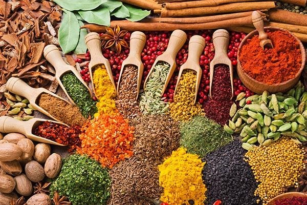 طراحی سایت عطاری مشهد